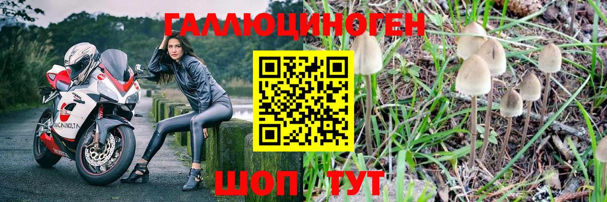 Галлюциногенные грибы прущие грибы Ипатово